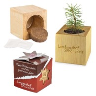 Topf Würfel Holz Maxi Weihnachten in Star-Box - Fichte