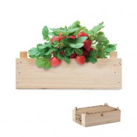 Erdbeersamen in einer Holzkiste