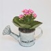 Zink-Gießkanne mit Mini-Blütenpflanze Geschäftsgeschenk