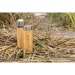 Isolierende Flasche aus Bambus, Isothermenflasche Werbung