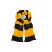 Miniaturansicht des Produkts Gestreifter Schal - Varsity Scarf 1