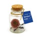 Miniaturansicht des Produkts Flakon getrocknete Blumen 1