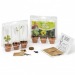 Mini-Gewächshaus, um 3 Töpfe mit Samen zu kultivieren Geschäftsgeschenk