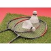 Badminton-Set Geschäftsgeschenk