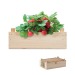 Miniaturansicht des Produkts Erdbeersamen in einer Holzkiste 0