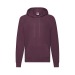 Miniaturansicht des Produkts Sweatshirt Erwachsene - Lightweight Hooded 1