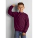 Gildan Kinder Sweatshirt mit Rundhalsausschnitt, Kinder-Sweatshirt Werbung